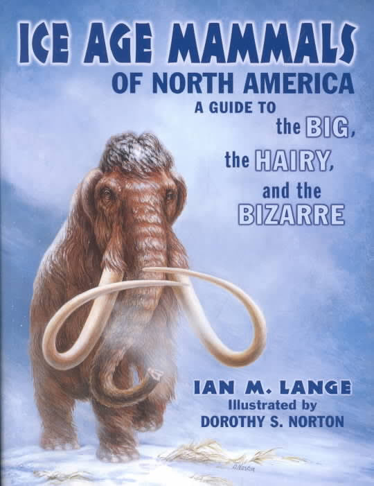 Ian Lange book